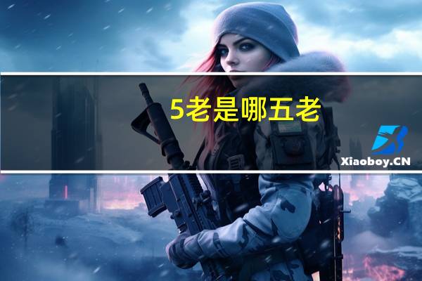 5老是哪五老