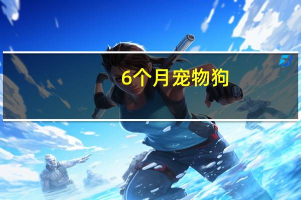 6个月宠物狗
