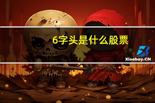 6字头是什么股票