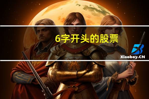 6字开头的股票
