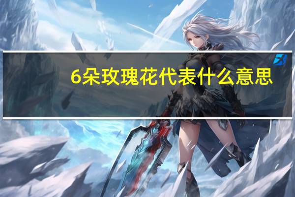 6朵玫瑰花代表什么意思