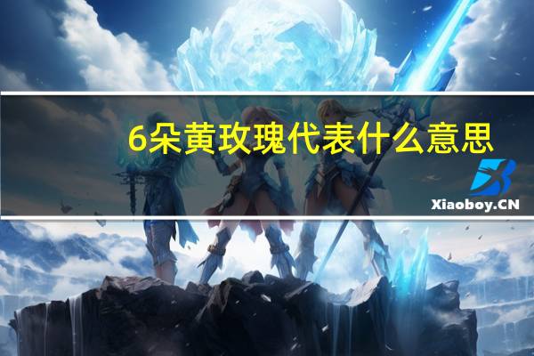 6朵黄玫瑰代表什么意思