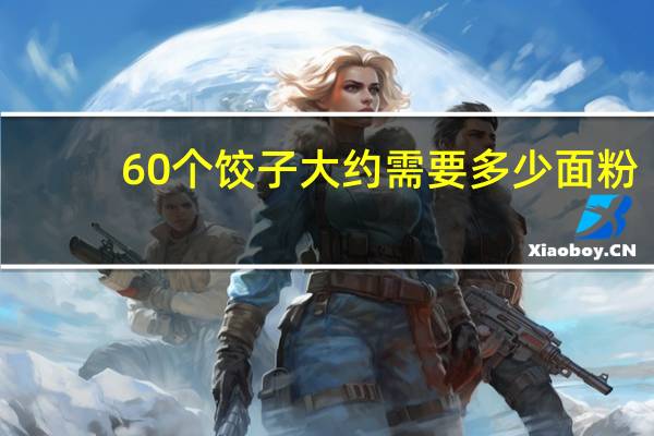 60个饺子大约需要多少面粉