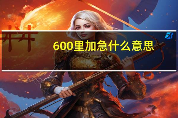 600里加急什么意思