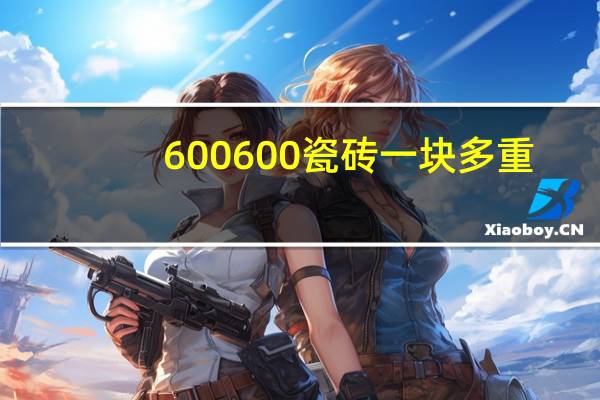 600600瓷砖一块多重