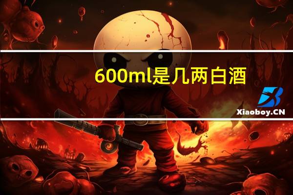600ml是几两白酒
