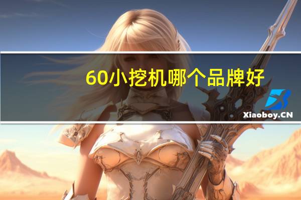 60小挖机哪个品牌好