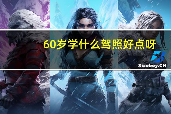 60岁学什么驾照好点呀