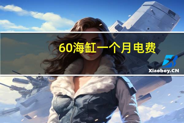60海缸一个月电费