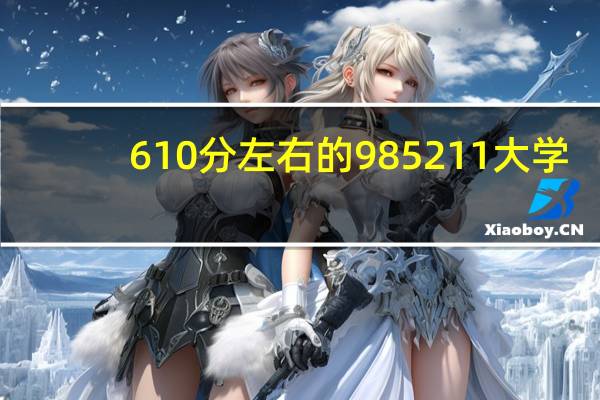610分左右的985 211大学