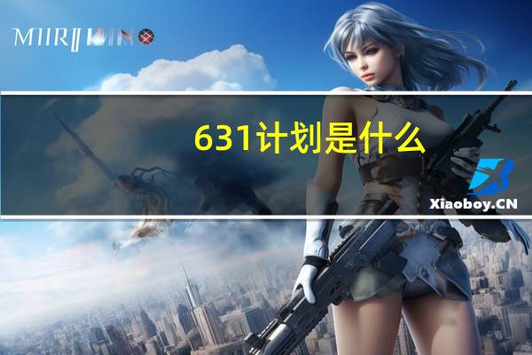 631计划是什么