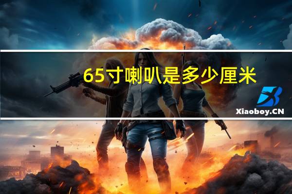 65寸喇叭是多少厘米