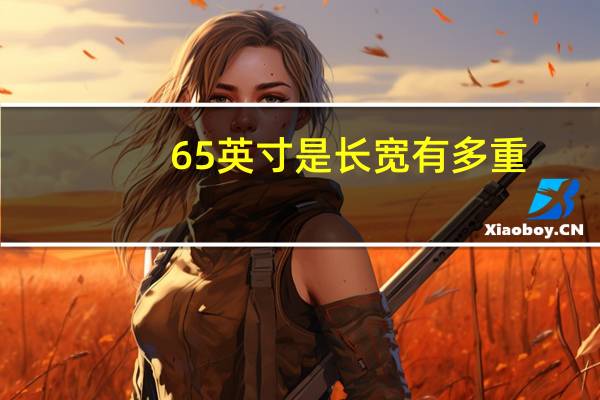 65英寸是长宽有多重