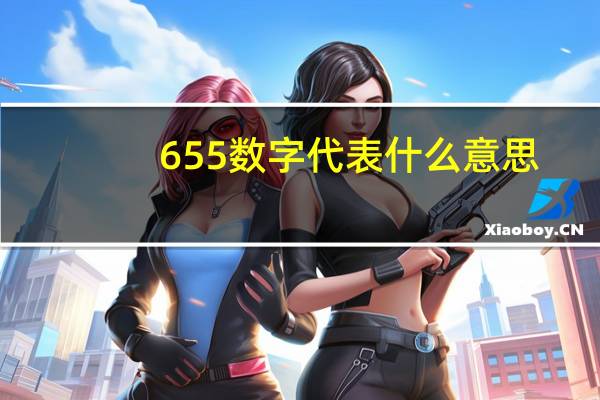 655数字代表什么意思