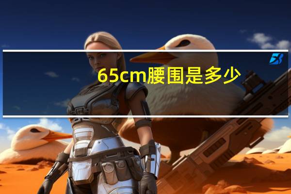 65cm腰围是多少