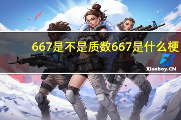 667是不是质数 667是什么梗