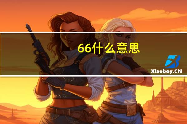 66什么意思