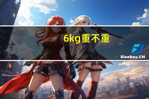 6kg重不重