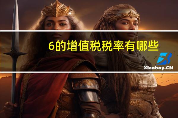 6 的增值税税率有哪些