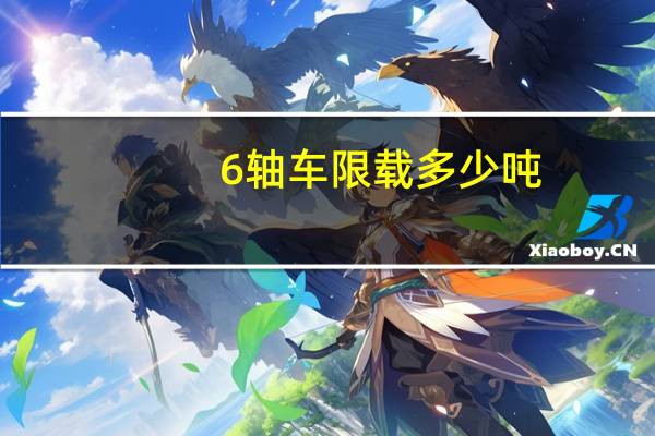 6轴车限载多少吨