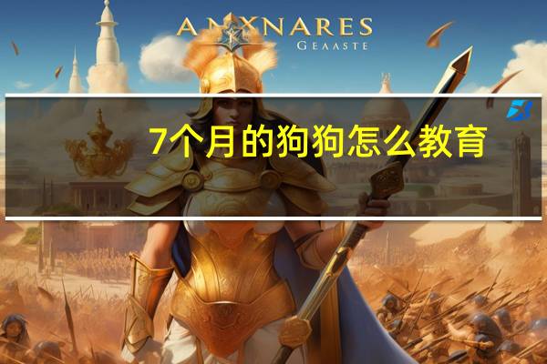 7个月的狗狗怎么教育