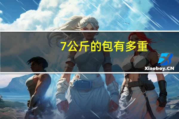 7公斤的包有多重
