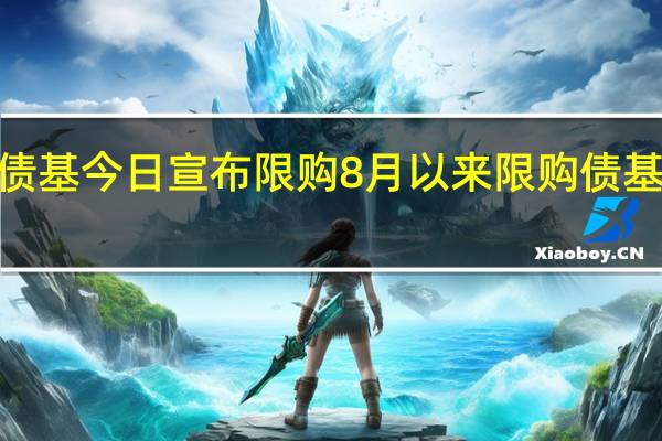 7只债基今日宣布限购 8月以来限购债基已达37只