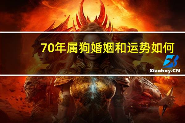 70年属狗婚姻和运势如何