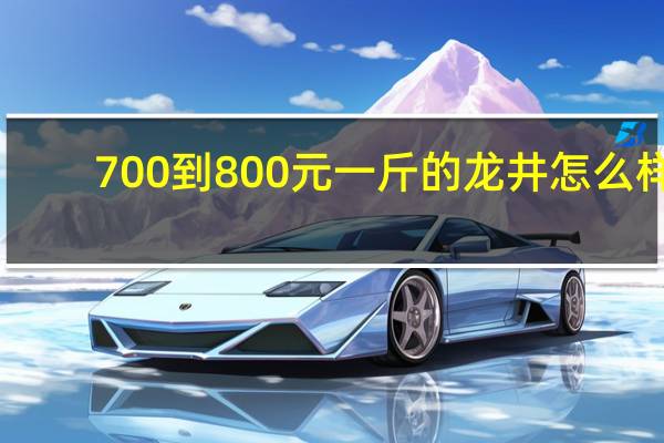 700到800元一斤的龙井怎么样
