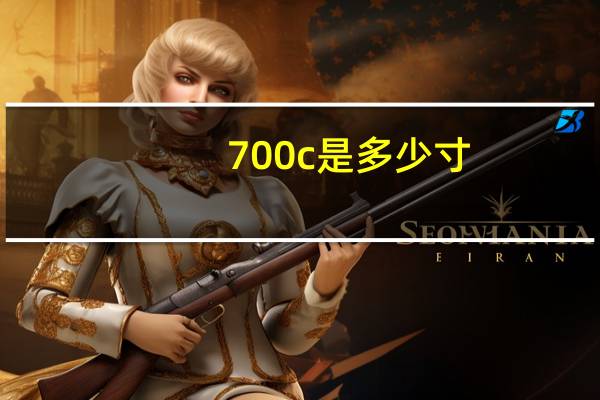 700c是多少寸