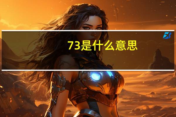 73是什么意思