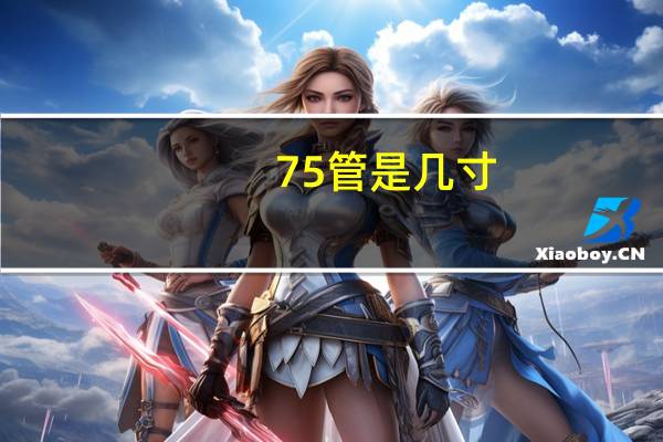 75管是几寸