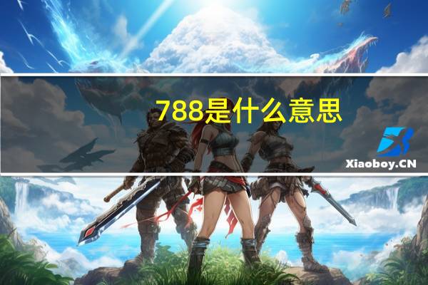 788是什么意思