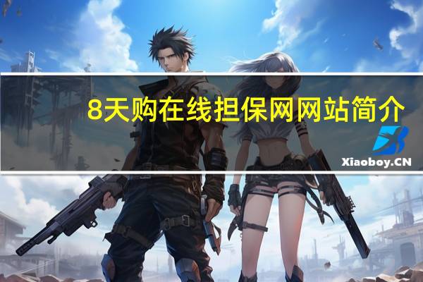 8天购在线担保网网站简介