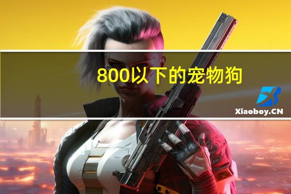 800以下的宠物狗