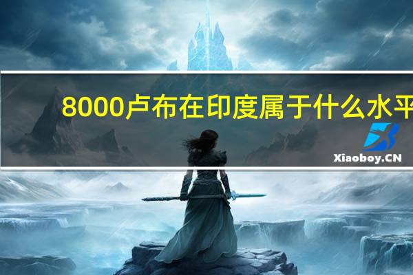 8000卢布在印度属于什么水平