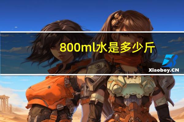 800ml水是多少斤