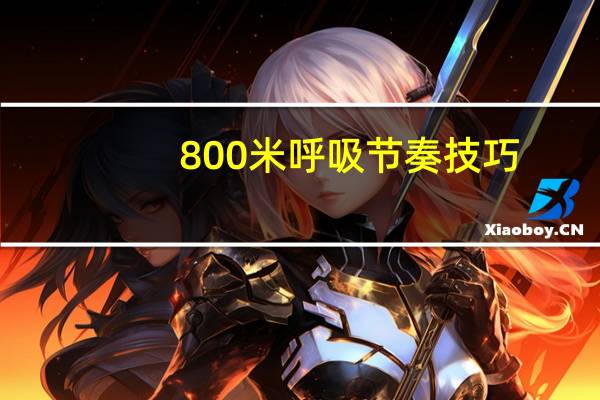 800米呼吸节奏技巧