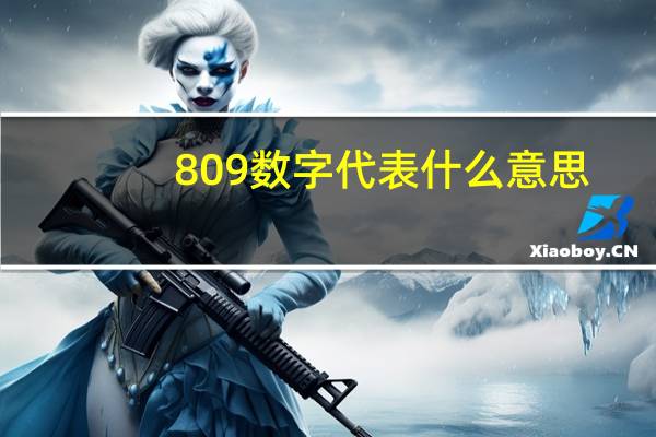 809数字代表什么意思