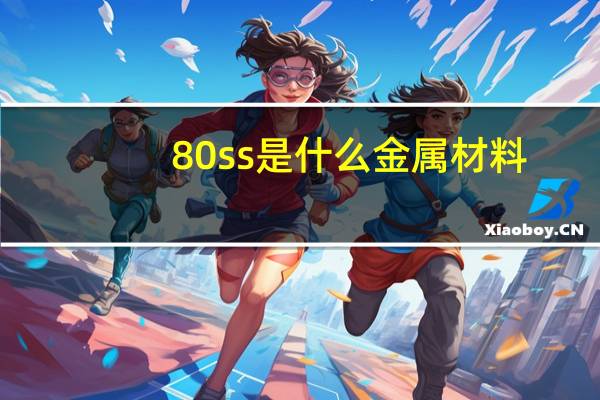80ss是什么金属材料？