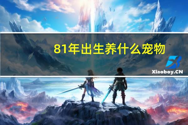 81年出生养什么宠物