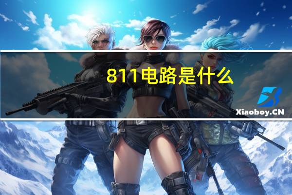 811电路是什么