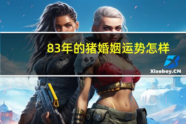 83年的猪婚姻运势怎样
