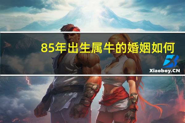 85年出生属牛的婚姻如何