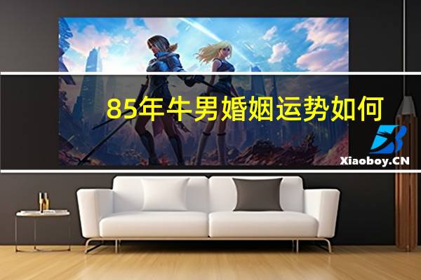 85年牛男婚姻运势如何