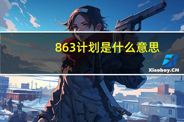 863计划是什么意思