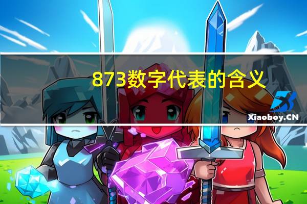 873数字代表的含义
