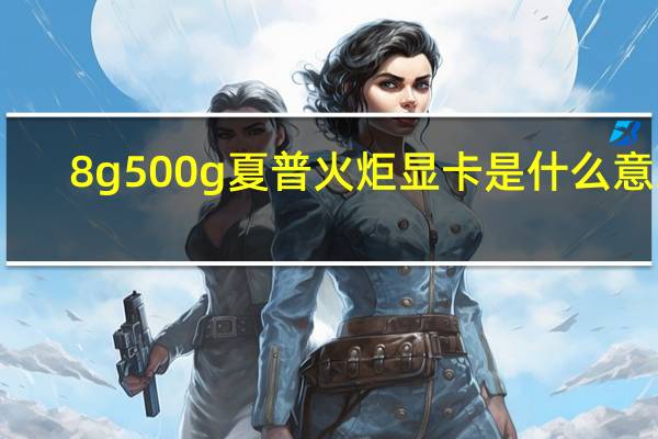 8g 500g夏普火炬显卡是什么意思？