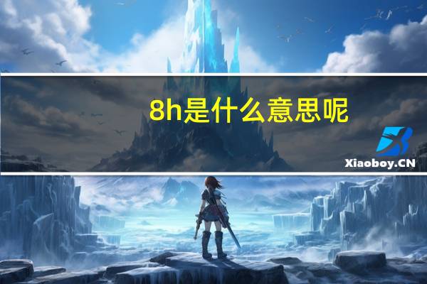 8h是什么意思呢
