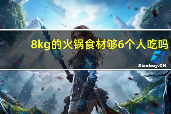 8kg的火锅食材够6个人吃吗